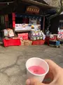 熱海梅園の写真_348485