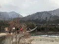 白川郷合掌造りの写真_348495