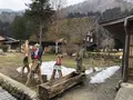 白川郷合掌造りの写真_348512