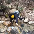 鳥地獄・虫地獄の写真_348737
