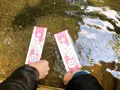 生田神社の写真_348750
