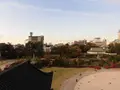 富山城址公園の写真_349051