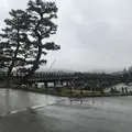 嵐山の写真_349210