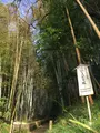 佐倉サムライの古径 ひよどり坂の写真_349222