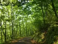 山須原ダムの写真_349555