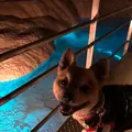 おきなわワールドの写真_349652