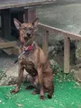 おきなわワールドの写真_349654