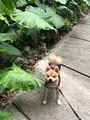 ガンガラーの谷の写真_349658