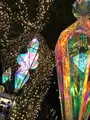 江の島シーキャンドルの写真_349697