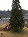 東大寺二月堂の写真_349830