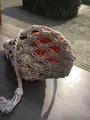 聖護院の写真_350079