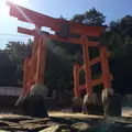 長浜神社の写真_350080