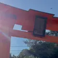 長浜神社の写真_350098