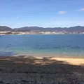 長浜神社の写真_350125