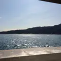 宮島口桟橋［松大］（航路）の写真_350259