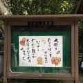 大聖院の写真_350305