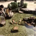 みやじまの宿 岩惣の写真_350314