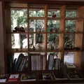 玉氷の写真_350319