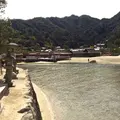 嚴島神社 大鳥居の写真_350338