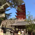 荒胡子神社の写真_350364