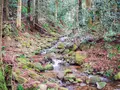 壇鏡の滝の写真_350386