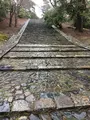 東大寺の写真_350407