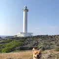 残波岬の写真_350436