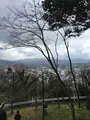 足羽山の写真_350445
