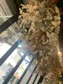 果実店canvasの写真_350475