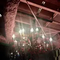 サナギ 新宿 / SANAGI SHINJUKUの写真_350866
