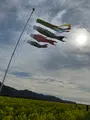 笠岡ベイファームの写真_350959