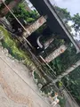 ビオスの丘の写真_351119