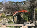 下鴨神社（賀茂御祖神社）の写真_352804