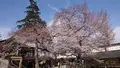 高麗神社の写真_352903