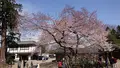高麗神社の写真_352904
