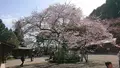 高麗神社の写真_352905