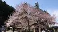 高麗神社の写真_352907