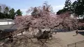 高麗神社の写真_352908