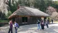 高麗神社の写真_352917