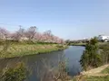 花見川サイクリングロードの写真_353083