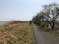 花見川サイクリングロードの写真_353094