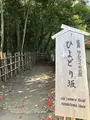 佐倉サムライの古径 ひよどり坂の写真_353106