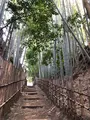 佐倉サムライの古径 ひよどり坂の写真_353107