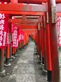 佐助稲荷神社の写真_353771