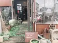 octopa食堂の写真_354041