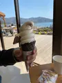 河口湖自然生活館の写真_354559