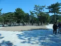 宇治公園(塔の島)の写真_354697