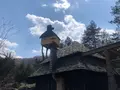 空飛ぶ泥舟の写真_354781