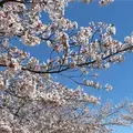 総合公園バンブージョイハイランドの写真_355084