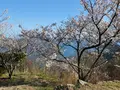 筆影山の写真_355085